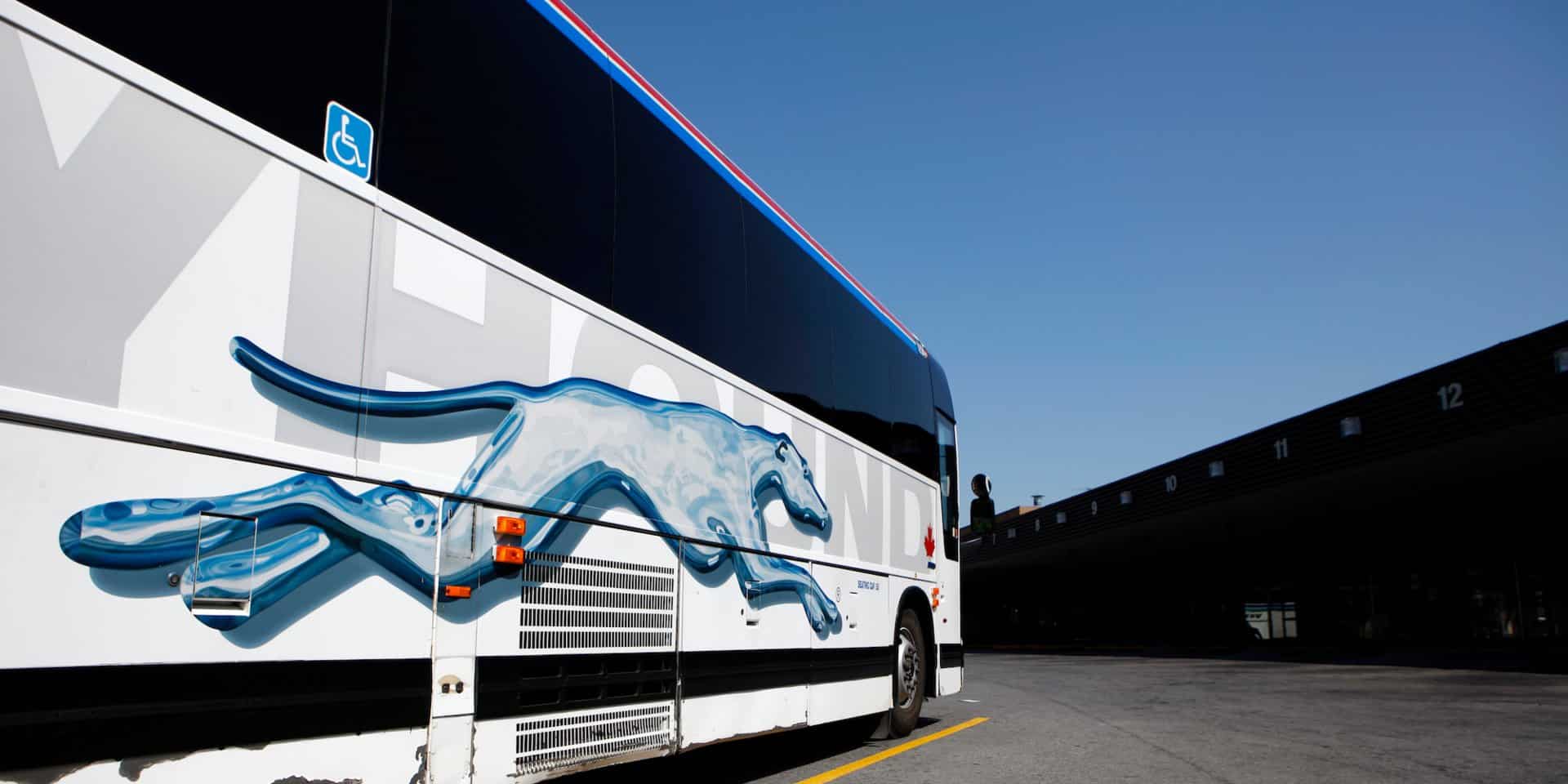 Iconic Greyhounds Buses To Be Sold By First Group In The US - FinanceWhile