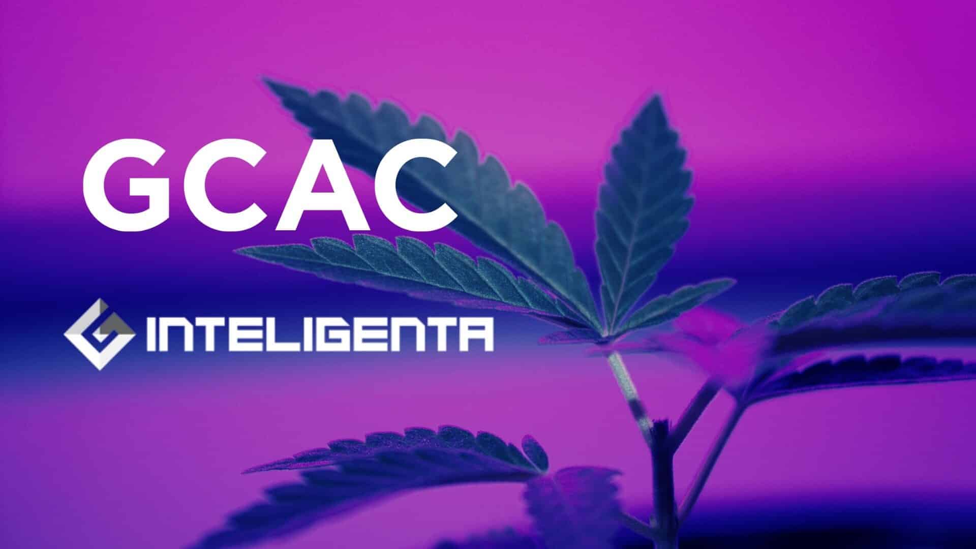 Global Cannabis Join Hands With Inteligenta to Develop Medical Cannabis Technology