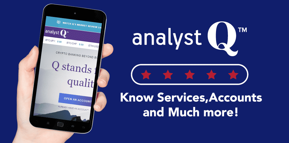 An In-Depth AnalystQ Review